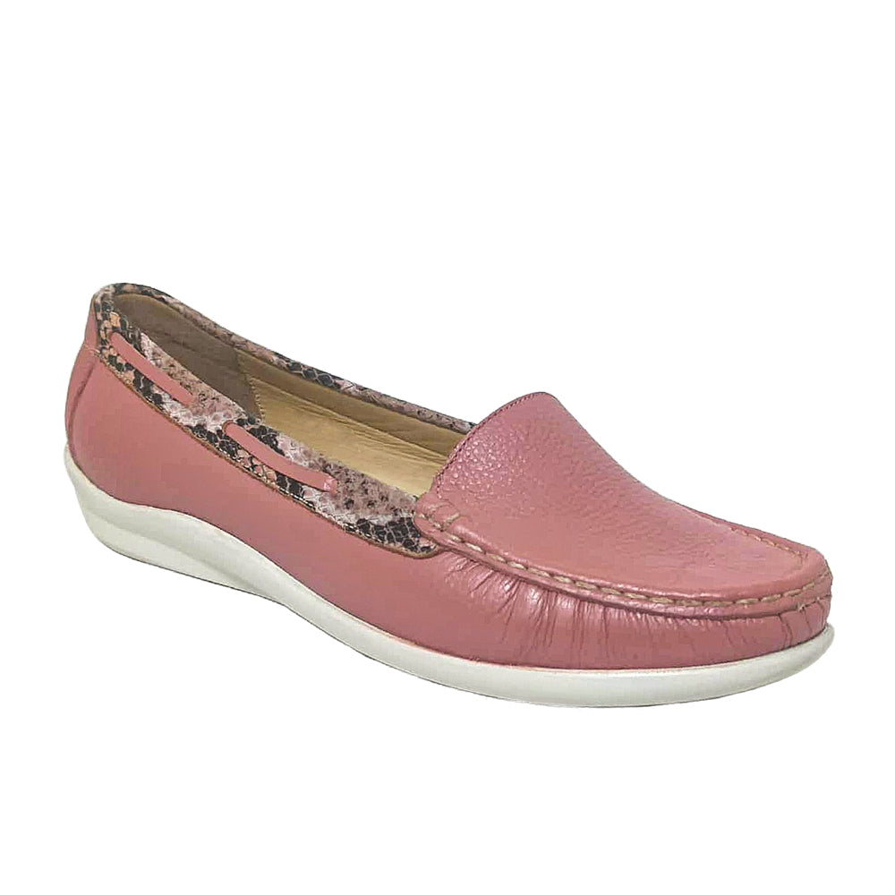 Zapato Sdely AV603
