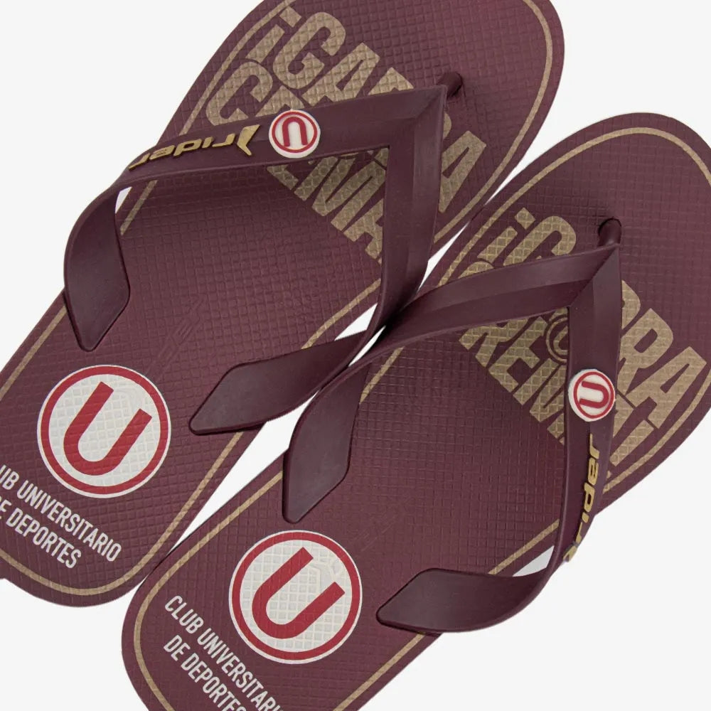Sandalia Rider Universitario Flip Flop Bordo 2RDU86