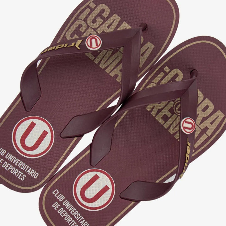 Sandalia Rider Universitario Flip Flop Bordo 2RDU86