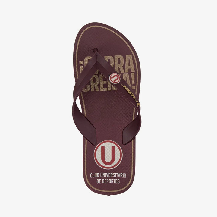 Sandalia Rider Universitario Flip Flop Bordo 2RDU86