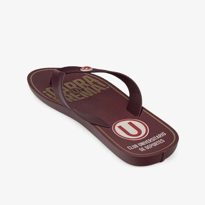 Sandalia Rider Universitario Flip Flop Bordo 2RDU86